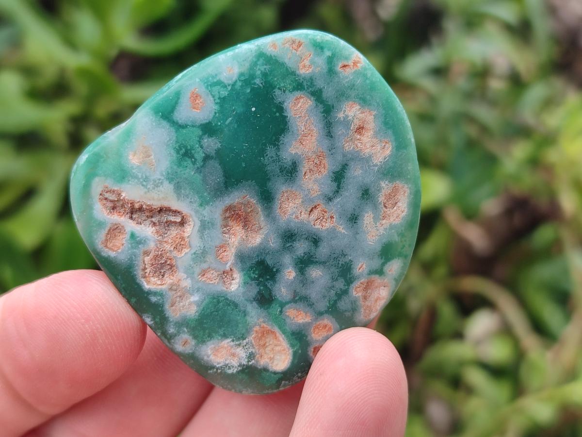 Polished Rare Mtorolite Free Forms x 48 From Mutorashanga, Zimbabwe - Toprock Gemstones and Minerals 