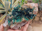 Natural Crystalline Malachite Specimens x 2 From Tenke Fungurume, Congo - Toprock Gemstones and Minerals 