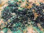 Natural Crystalline Malachite Specimens x 2 From Tenke Fungurume, Congo - Toprock Gemstones and Minerals 