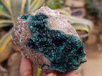 Natural Crystalline Malachite Specimens x 2 From Tenke Fungurume, Congo - Toprock Gemstones and Minerals 