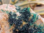Natural Crystalline Malachite Specimens x 2 From Tenke Fungurume, Congo - Toprock Gemstones and Minerals 