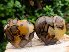 Polished Septerye Hearts x 6 From Mahajanga, Madagascar - Toprock Gemstones and Minerals 