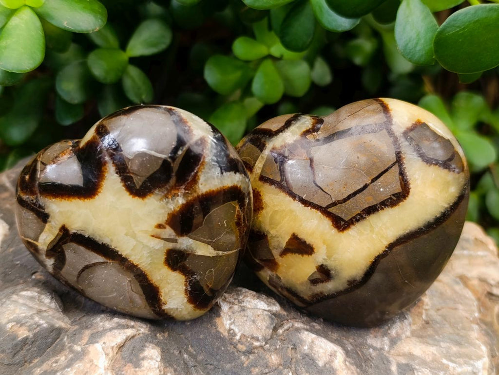 Polished Septerye Hearts x 6 From Mahajanga, Madagascar - Toprock Gemstones and Minerals 