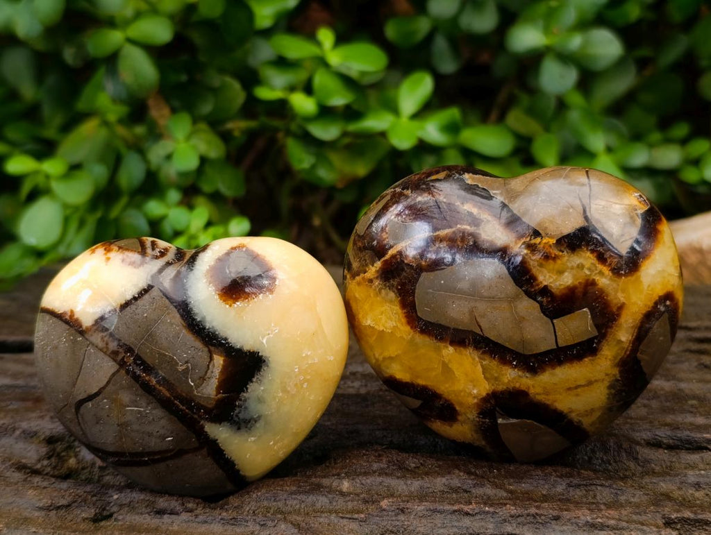 Polished Septerye Hearts x 6 From Mahajanga, Madagascar - Toprock Gemstones and Minerals 