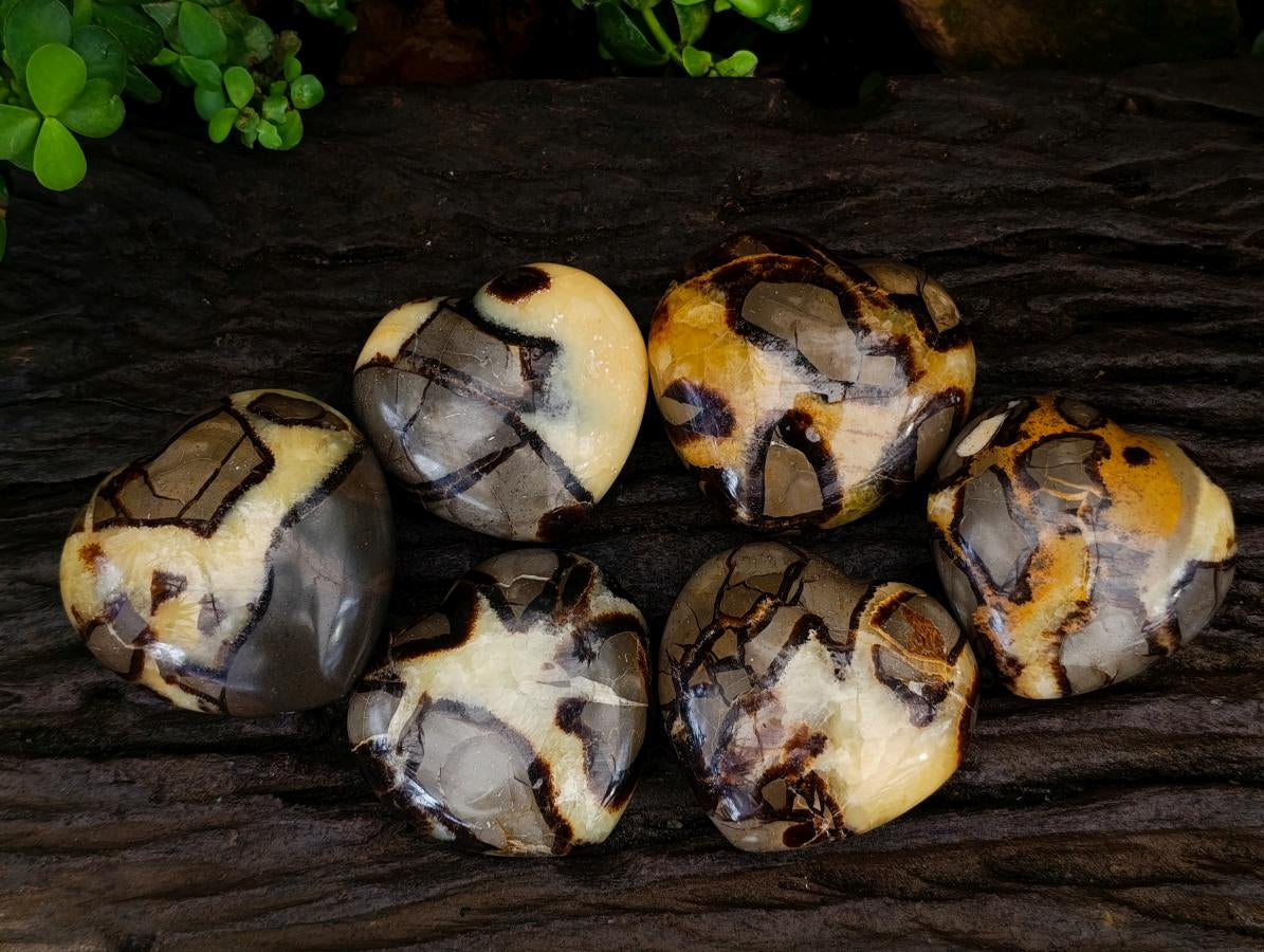 Polished Septerye Hearts x 6 From Mahajanga, Madagascar - Toprock Gemstones and Minerals 