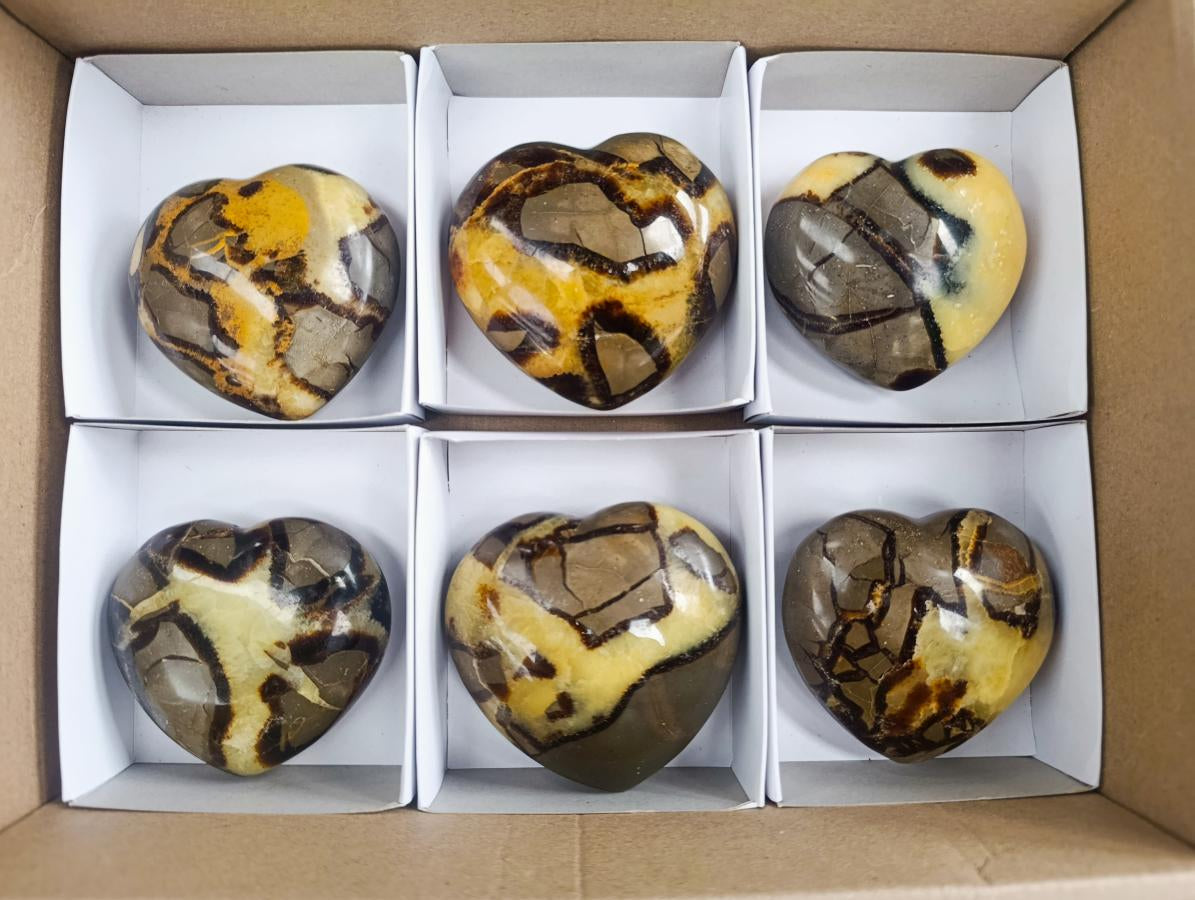 Polished Septerye Hearts x 6 From Mahajanga, Madagascar - Toprock Gemstones and Minerals 