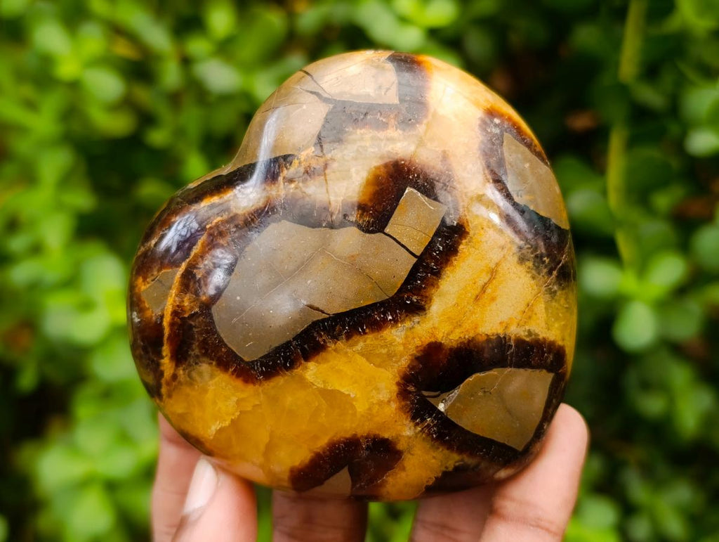 Polished Septerye Hearts x 6 From Mahajanga, Madagascar - Toprock Gemstones and Minerals 