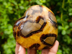 Polished Septerye Hearts x 6 From Mahajanga, Madagascar - Toprock Gemstones and Minerals 