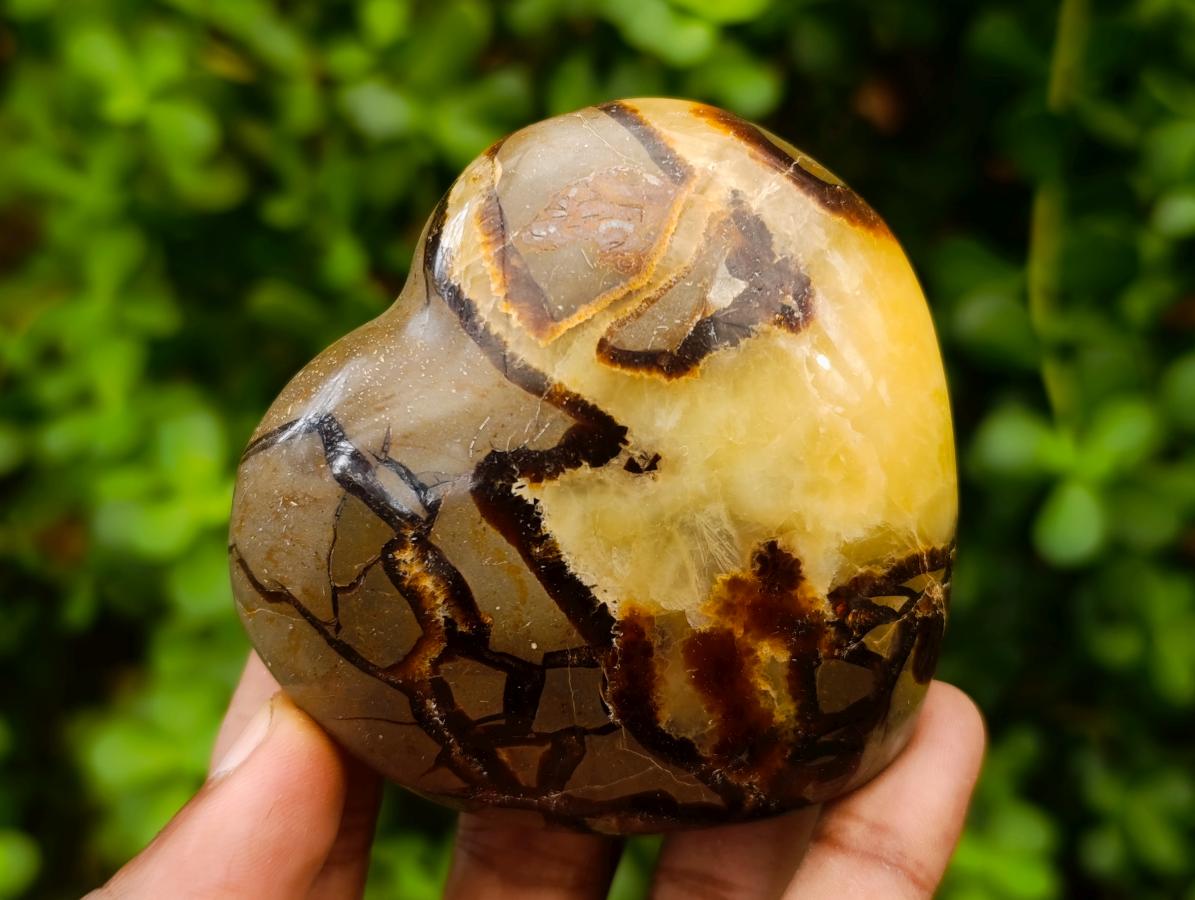 Polished Septerye Hearts x 6 From Mahajanga, Madagascar - Toprock Gemstones and Minerals 