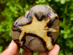 Polished Septerye Hearts x 6 From Mahajanga, Madagascar - Toprock Gemstones and Minerals 