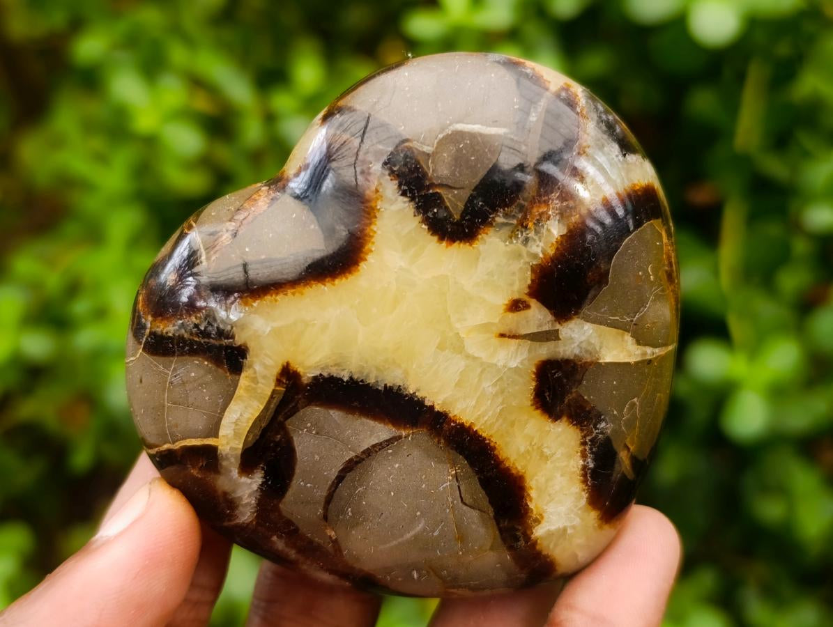 Polished Septerye Hearts x 6 From Mahajanga, Madagascar - Toprock Gemstones and Minerals 