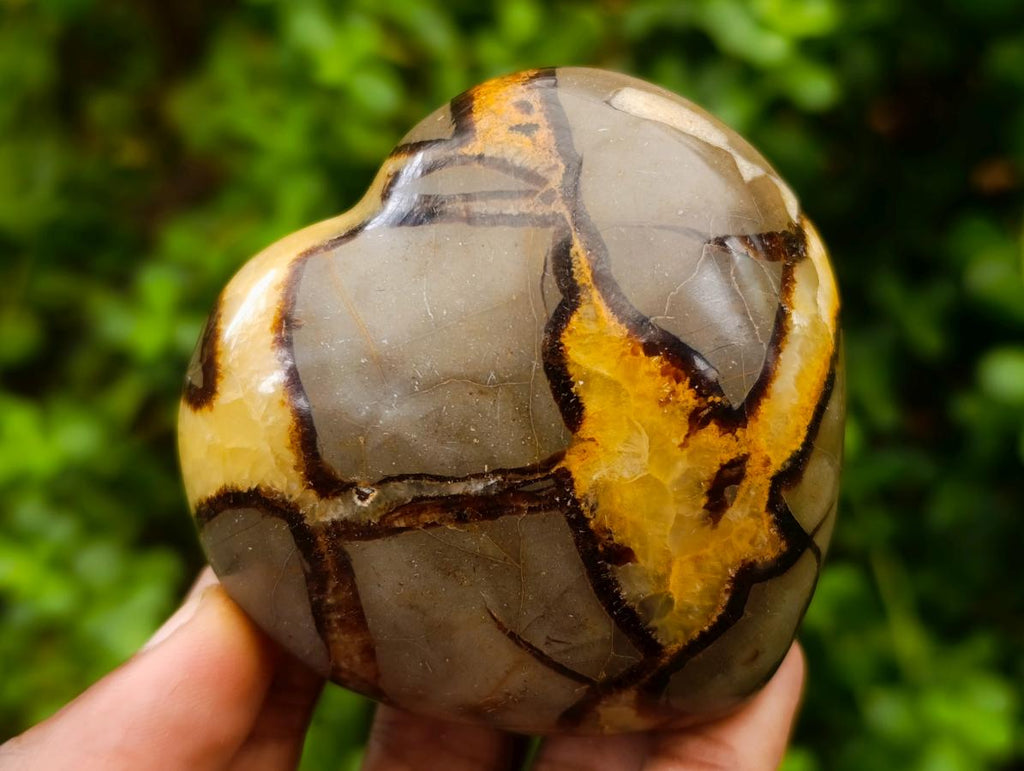 Polished Septerye Hearts x 6 From Mahajanga, Madagascar - Toprock Gemstones and Minerals 
