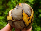 Polished Septerye Hearts x 6 From Mahajanga, Madagascar - Toprock Gemstones and Minerals 
