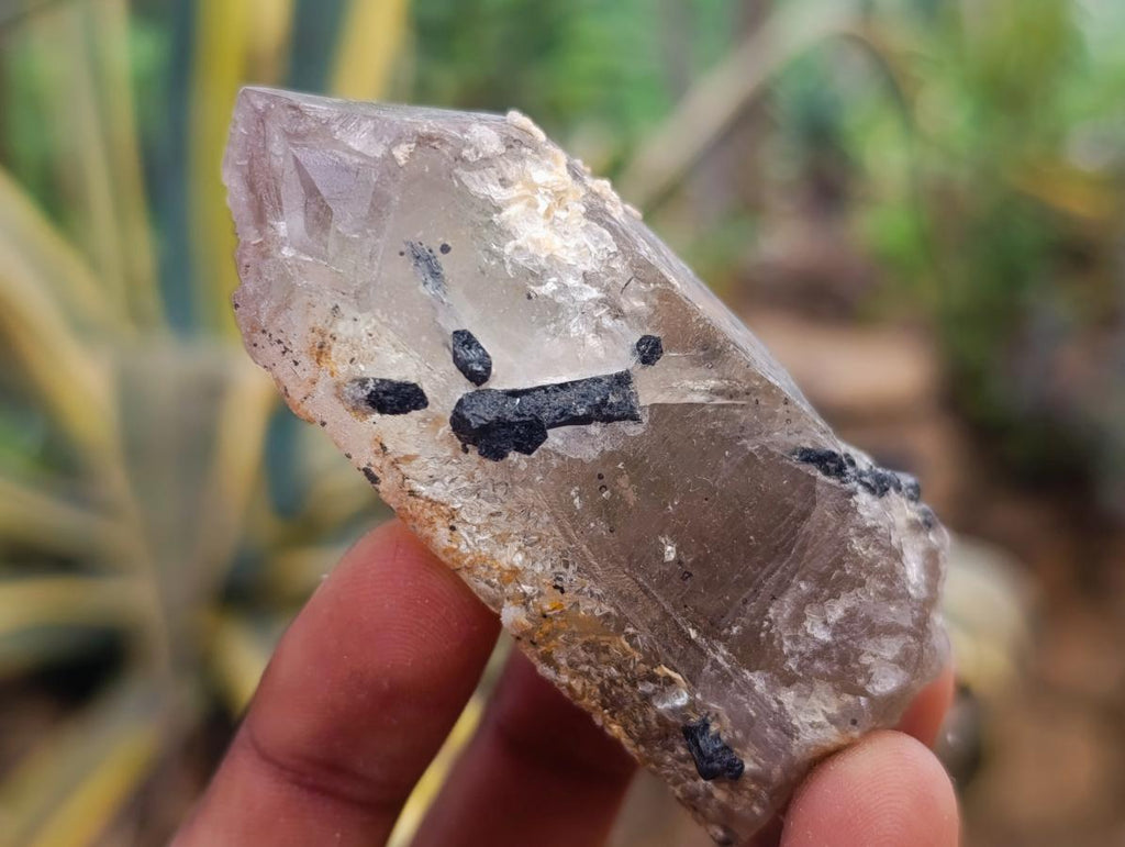 Natural Smokey Quartz Specimens with Associated Minerals x 12 From Erongo, Namibia - Toprock Gemstones and Minerals 
