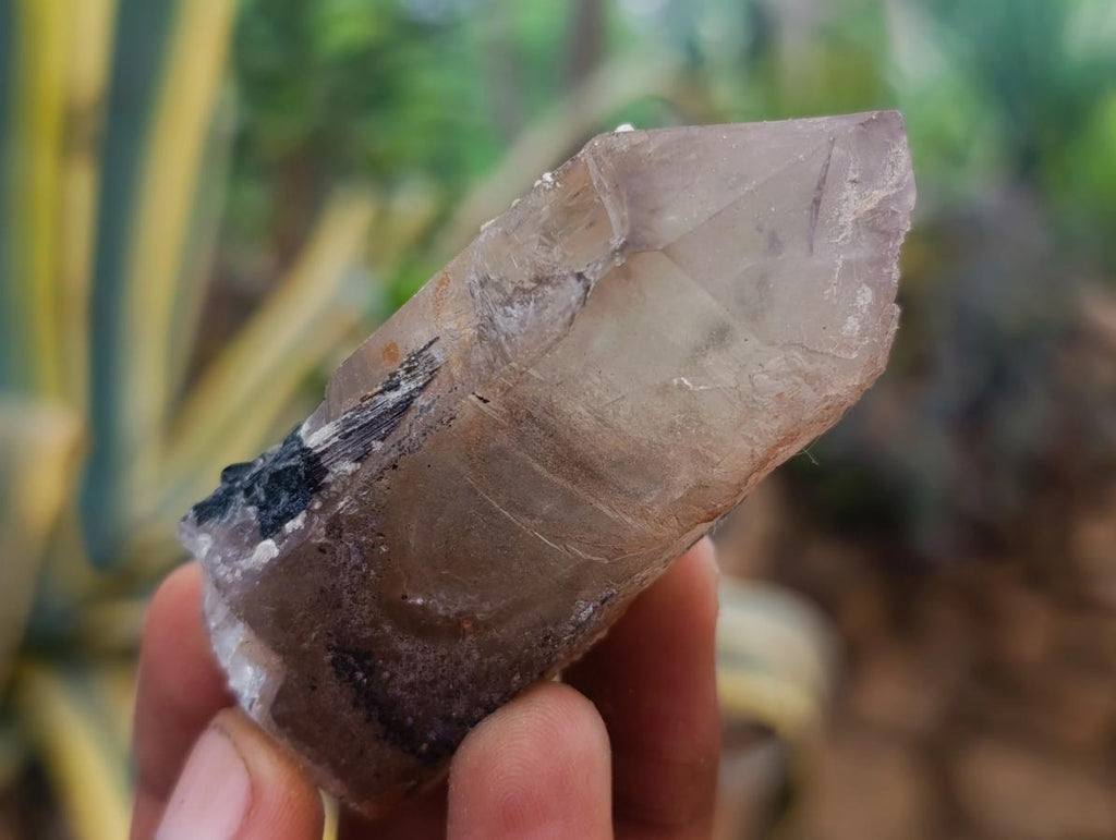 Natural Smokey Quartz Specimens with Associated Minerals x 12 From Erongo, Namibia - Toprock Gemstones and Minerals 