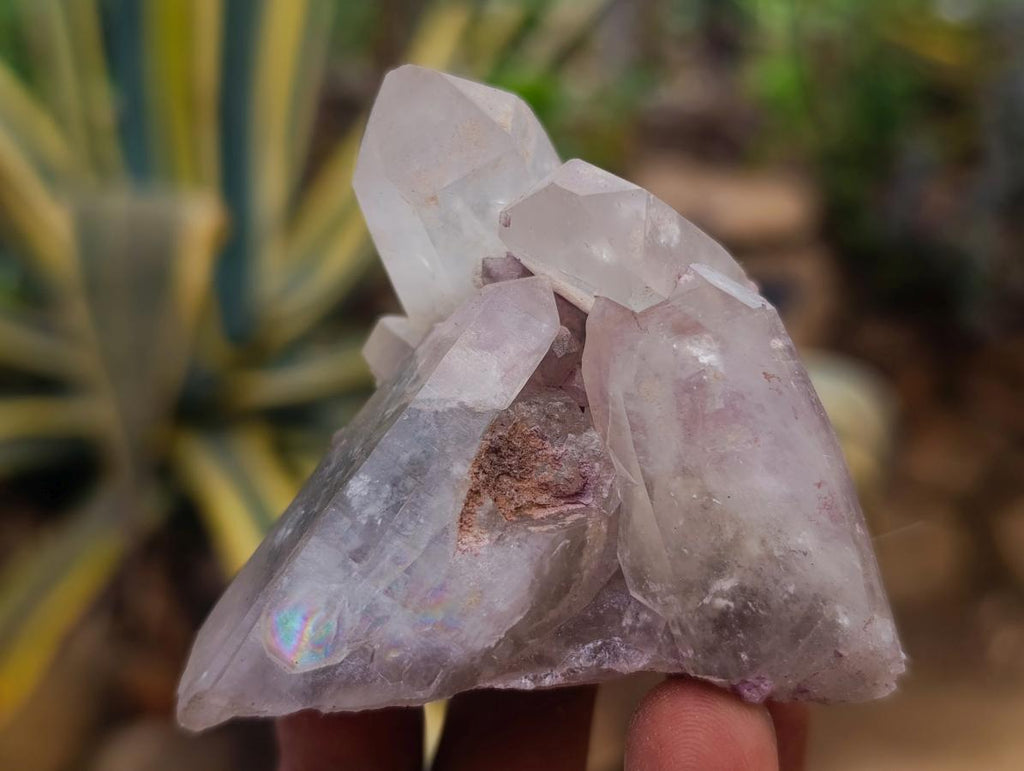 Natural Smokey Quartz Specimens with Associated Minerals x 12 From Erongo, Namibia - Toprock Gemstones and Minerals 