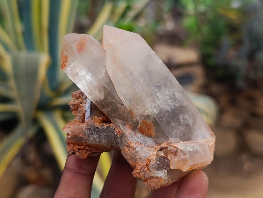 Natural Smokey Quartz Specimens with Associated Minerals x 12 From Erongo, Namibia - Toprock Gemstones and Minerals 