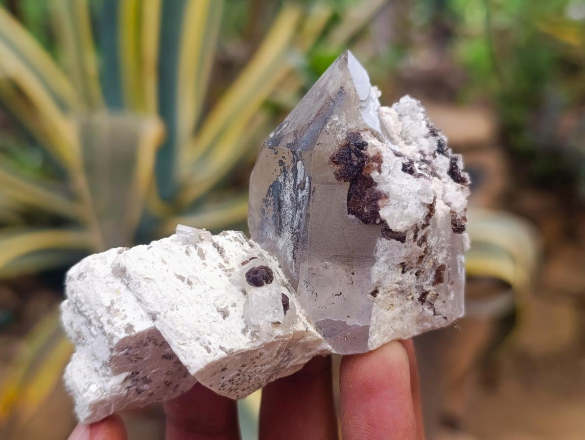 Natural Smokey Quartz Specimens with Associated Minerals x 12 From Erongo, Namibia - Toprock Gemstones and Minerals 