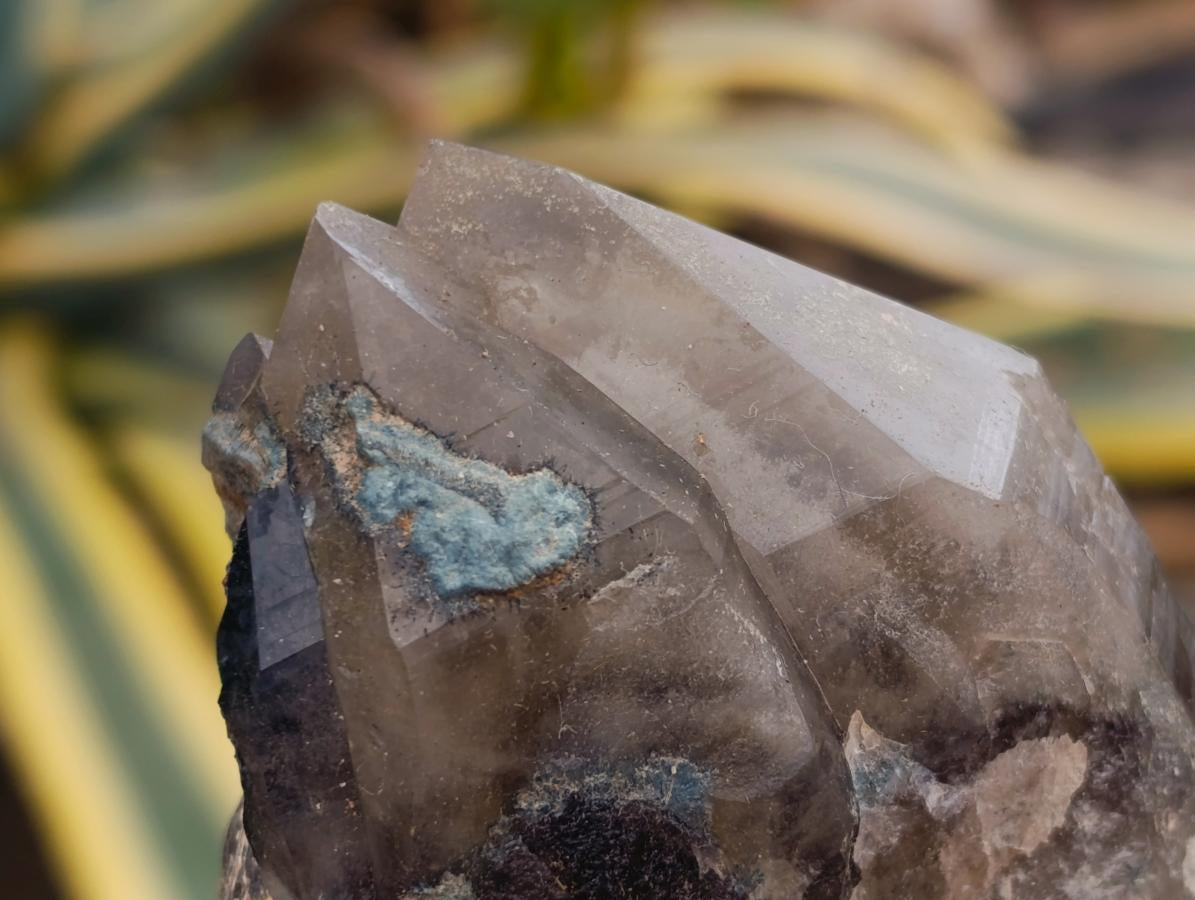 Natural Smokey Quartz Specimens with Associated Minerals x 12 From Erongo, Namibia - Toprock Gemstones and Minerals 