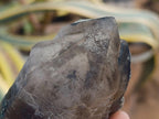 Natural Smokey Quartz Specimens with Associated Minerals x 12 From Erongo, Namibia - Toprock Gemstones and Minerals 