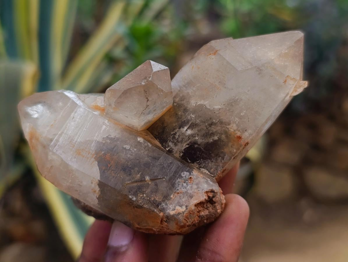 Natural Smokey Quartz Specimens with Associated Minerals x 12 From Erongo, Namibia - Toprock Gemstones and Minerals 