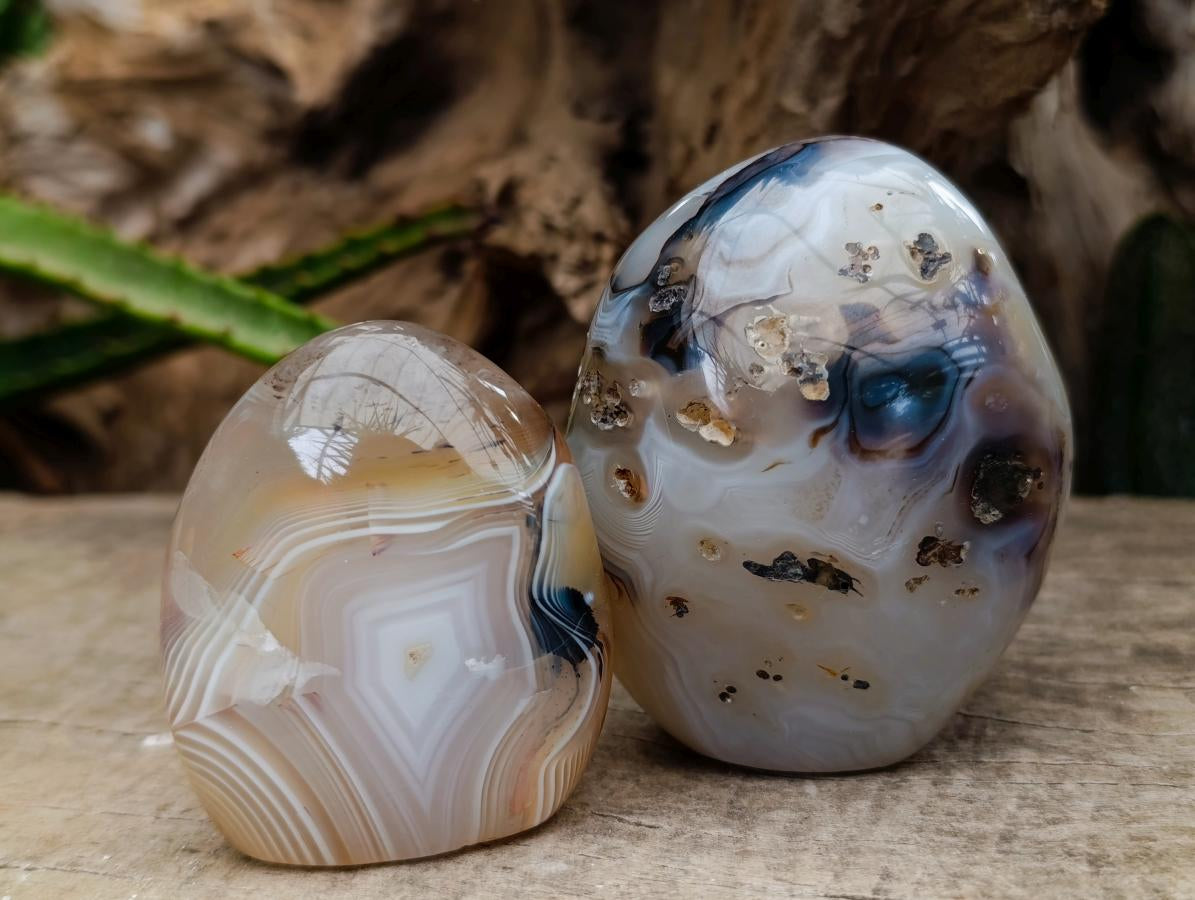 Polished Dendritic Agate Standing Free Forms x 6 From Moralambo, Madagascar - Toprock Gemstones and Minerals 
