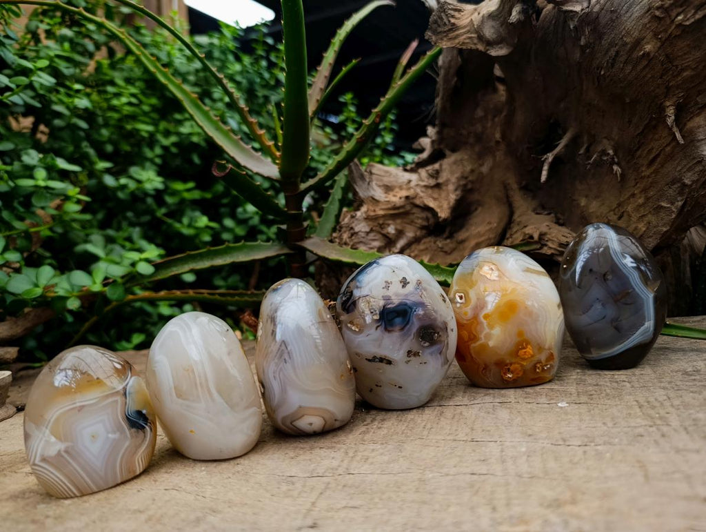 Polished Dendritic Agate Standing Free Forms x 6 From Moralambo, Madagascar - Toprock Gemstones and Minerals 