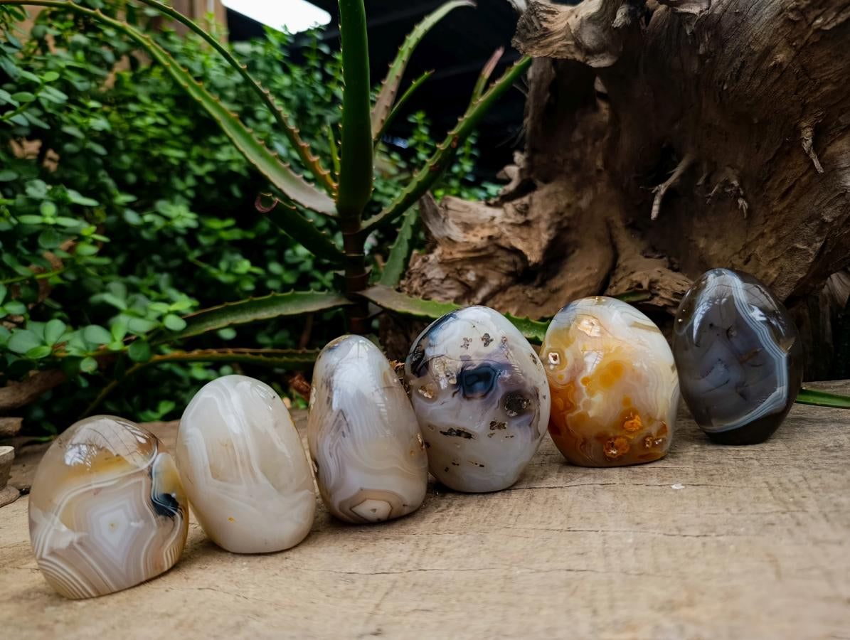 Polished Dendritic Agate Standing Free Forms x 6 From Moralambo, Madagascar - Toprock Gemstones and Minerals 