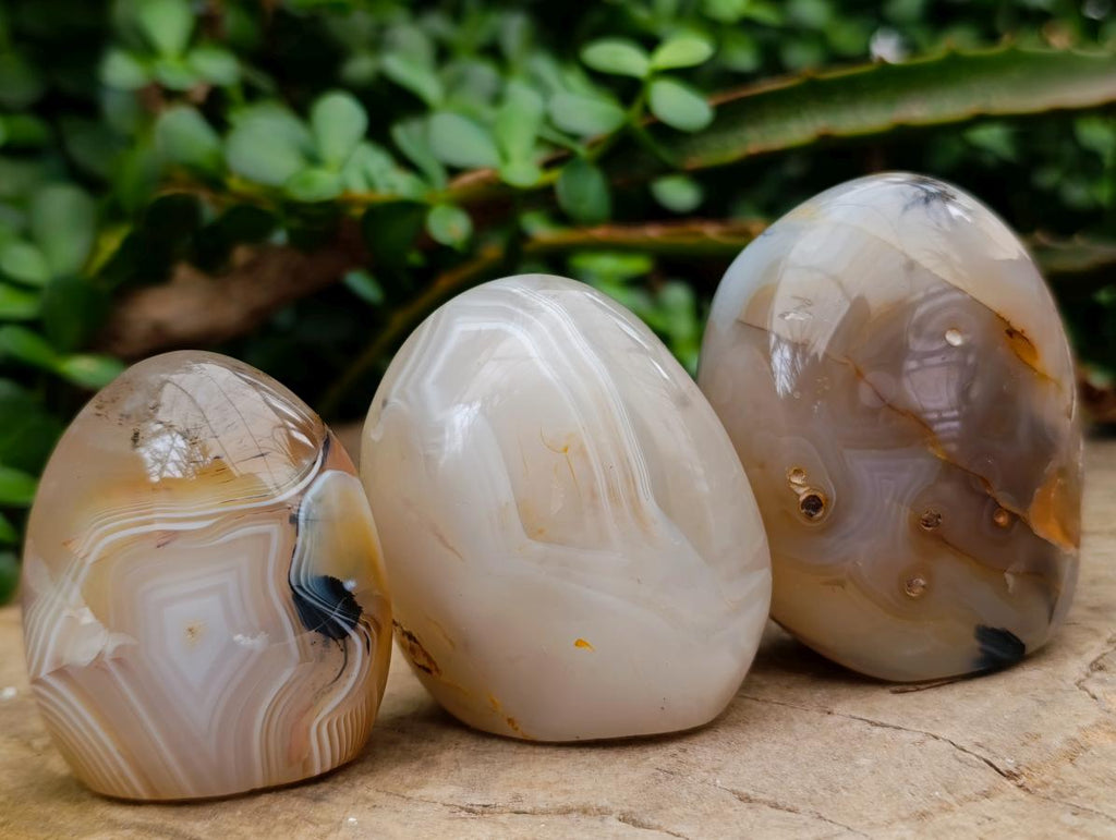 Polished Dendritic Agate Standing Free Forms x 6 From Moralambo, Madagascar - Toprock Gemstones and Minerals 
