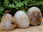 Polished Dendritic Agate Standing Free Forms x 6 From Moralambo, Madagascar - Toprock Gemstones and Minerals 