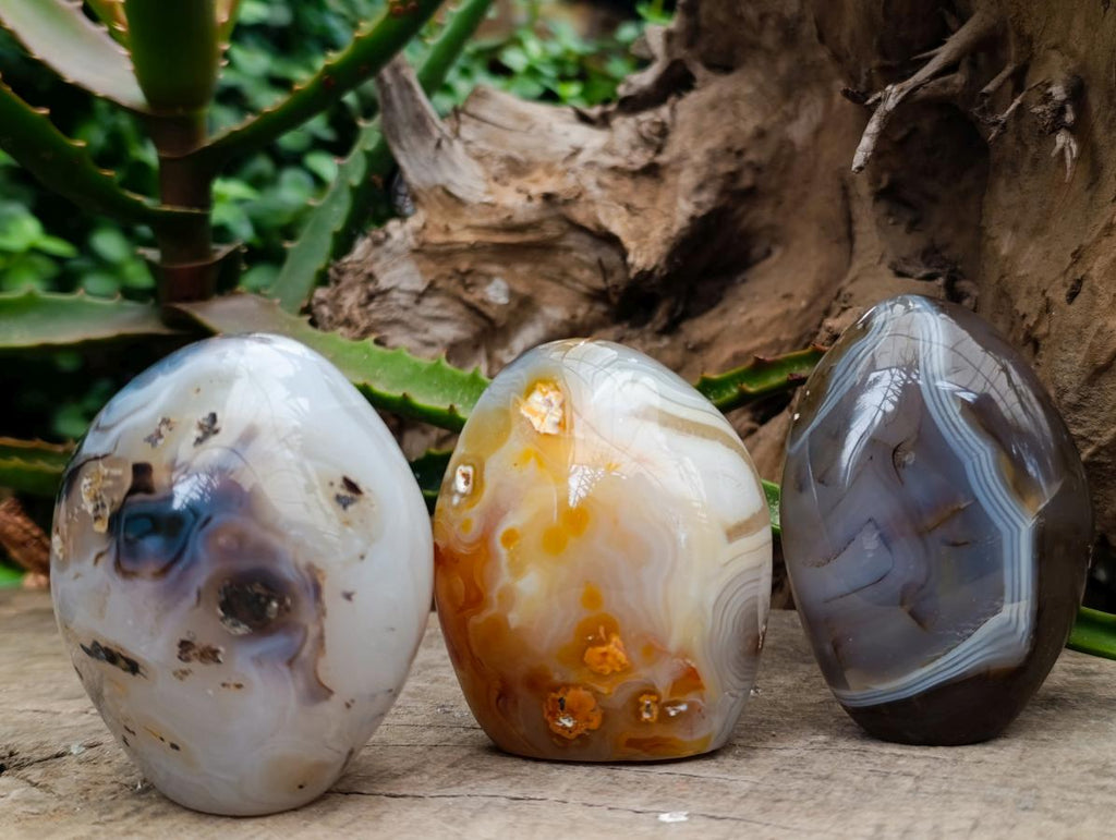 Polished Dendritic Agate Standing Free Forms x 6 From Moralambo, Madagascar - Toprock Gemstones and Minerals 
