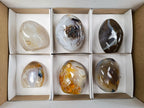 Polished Dendritic Agate Standing Free Forms x 6 From Moralambo, Madagascar - Toprock Gemstones and Minerals 