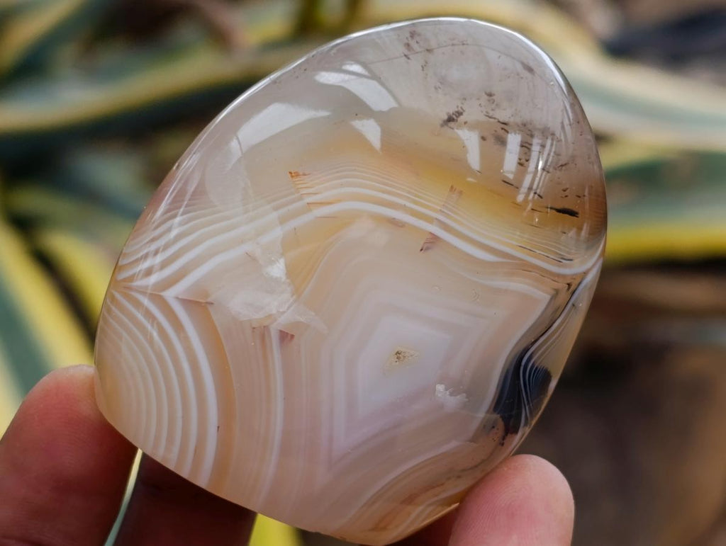 Polished Dendritic Agate Standing Free Forms x 6 From Moralambo, Madagascar - Toprock Gemstones and Minerals 
