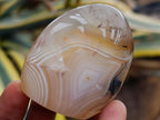 Polished Dendritic Agate Standing Free Forms x 6 From Moralambo, Madagascar - Toprock Gemstones and Minerals 
