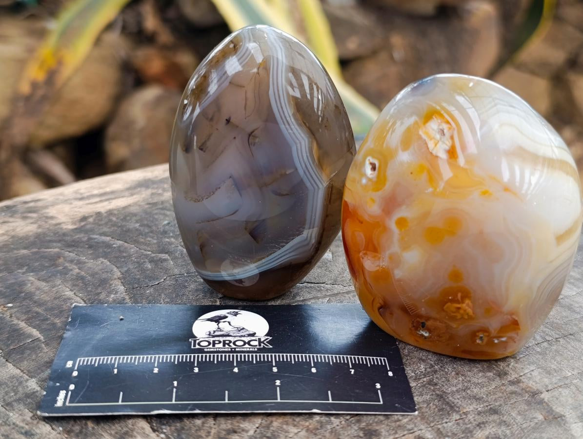 Polished Dendritic Agate Standing Free Forms x 6 From Moralambo, Madagascar - Toprock Gemstones and Minerals 