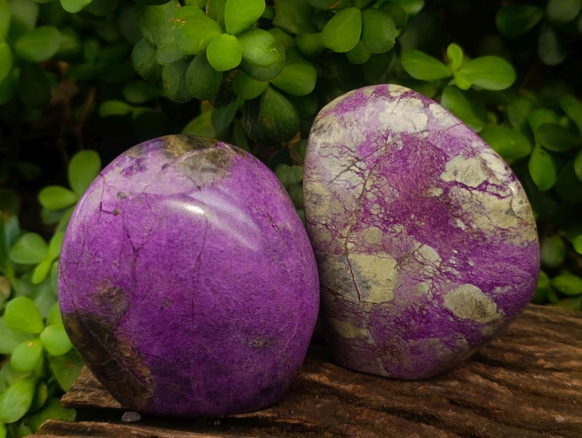 Polished Stichtite Standing Free Forms x 4 From Barberton, South Africa - Toprock Gemstones and Minerals 