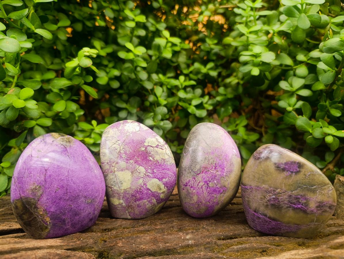 Polished Stichtite Standing Free Forms x 4 From Barberton, South Africa - Toprock Gemstones and Minerals 