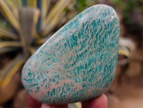 Polished Amazonite Free Forms x 9 From Zimbabwe - Toprock Gemstones and Minerals 