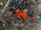 Polished XL Bloodstone Display Crystal x 1 From Swaziland - Toprock Gemstones and Minerals 