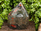 Polished XL Bloodstone Display Crystal x 1 From Swaziland - Toprock Gemstones and Minerals 