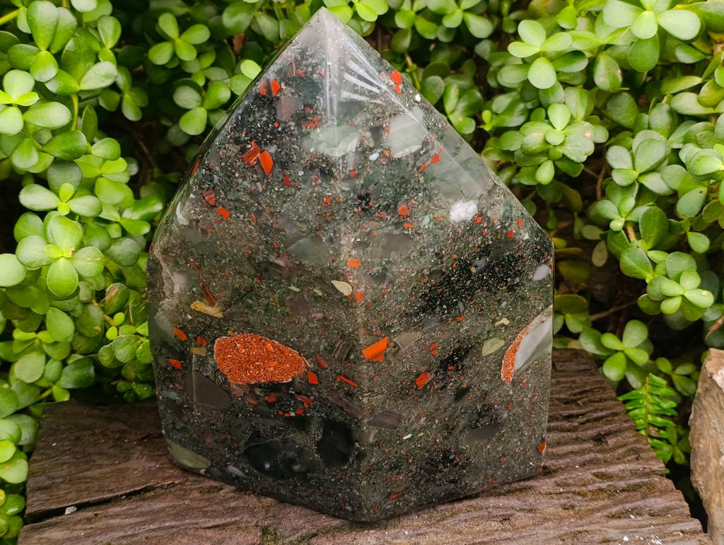 Polished XL Bloodstone Display Crystal x 1 From Swaziland - Toprock Gemstones and Minerals 