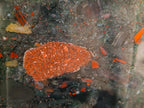 Polished XL Bloodstone Display Crystal x 1 From Swaziland - Toprock Gemstones and Minerals 