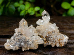 Natural Brandberg Window Quartz Crystals x 24 From Brandberg, Namibia - Toprock Gemstones and Minerals 