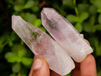 Natural Brandberg Window Quartz Crystals x 24 From Brandberg, Namibia - Toprock Gemstones and Minerals 