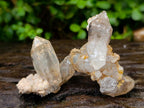 Natural Brandberg Window Quartz Crystals x 24 From Brandberg, Namibia - Toprock Gemstones and Minerals 