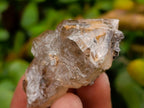 Natural Brandberg Window Quartz Crystals x 24 From Brandberg, Namibia - Toprock Gemstones and Minerals 