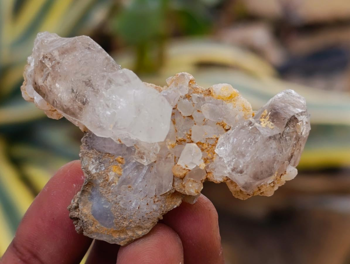 Natural Brandberg Window Quartz Crystals x 24 From Brandberg, Namibia - Toprock Gemstones and Minerals 