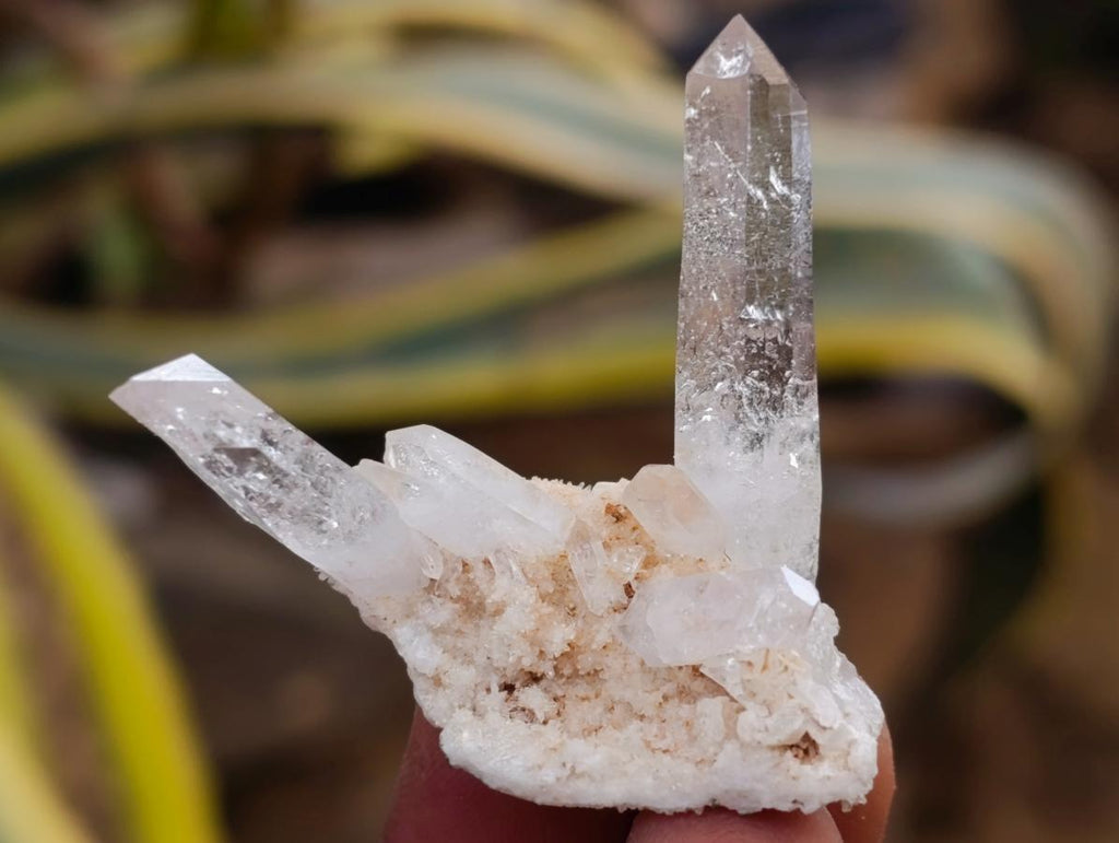 Natural Brandberg Window Quartz Crystals x 24 From Brandberg, Namibia - Toprock Gemstones and Minerals 
