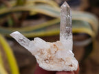 Natural Brandberg Window Quartz Crystals x 24 From Brandberg, Namibia - Toprock Gemstones and Minerals 