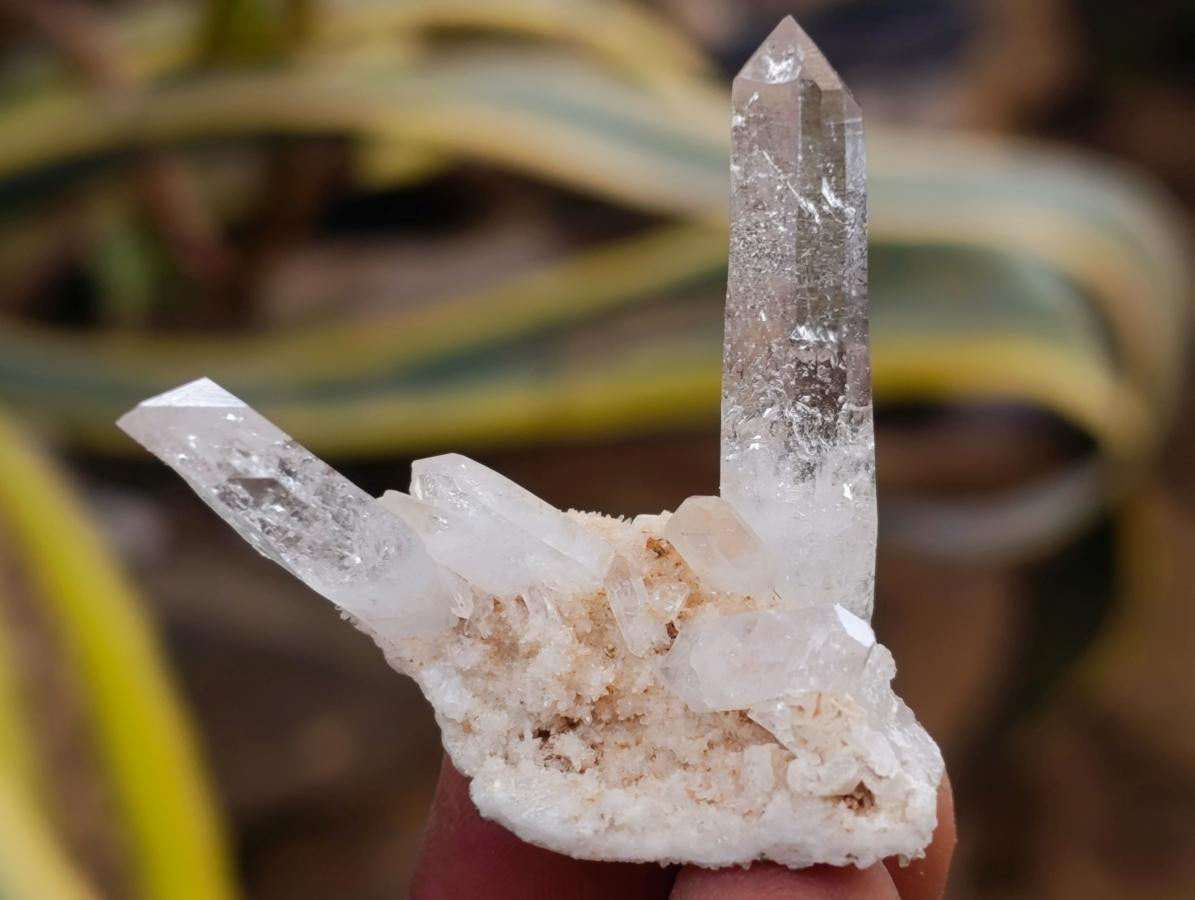 Natural Brandberg Window Quartz Crystals x 24 From Brandberg, Namibia - Toprock Gemstones and Minerals 